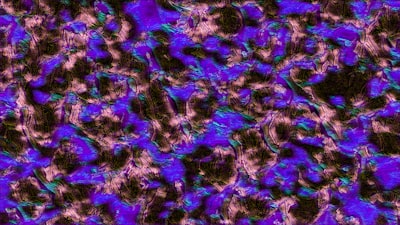 Hacia modelos de fundación de patología basados en transcriptómica espacial