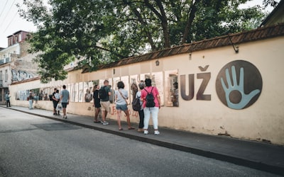 Top 20 Expertos en aplicaciones personalizadas en Zizur Mayor