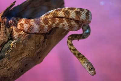 Faster Physics in Python
