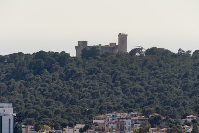 Expertos en automatizar alertas de seguridad en Palma