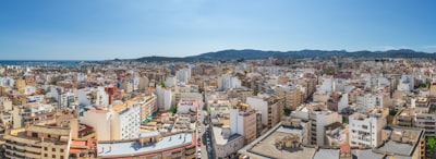 Las mejores opciones para SEO Bots en Palma