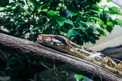 5 Python DIY Functions for Date and Time Analysis
