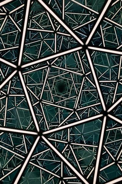 Descubriendo la geometría oculta en las redes neuronales