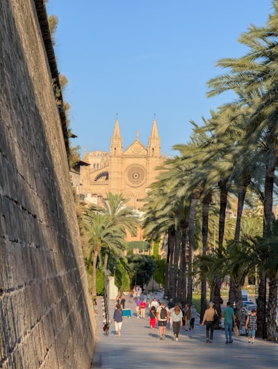Búsqueda de aplicaciones en ChatGPT en Palma
