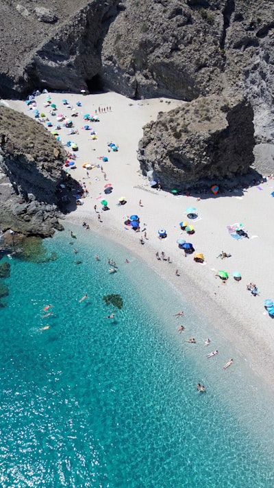 Los 10 mejores especialistas en bots de Instagram en Almería