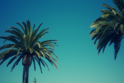 Mejores empresas de desarrollo de apps móviles en Santa Cruz de Tenerife