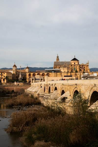 Top 15 Expertos en Software en Segovia
