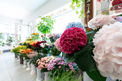 Cómo maximizar el ROI con un sistema de gestión para floristerías