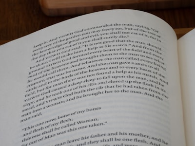 Leyendo "Ham on Rye" y creando un ecosistema de MCP