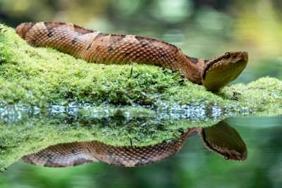 Comprensiones de Listas en Python: Complejidad Oculta