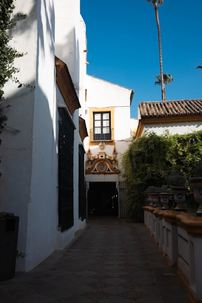 Top 5 expertos en reemplazo personalizado de sistemas heredados en Sevilla