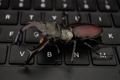 Create a $7 Writer's Cursor for Writers