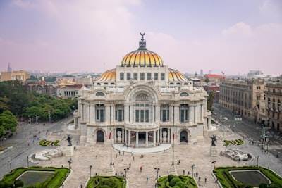 Expertos en Bots de SEO en Guadalajara