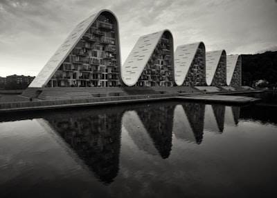 Las dimensiones del olvido: La importancia de la memoria en la continuidad