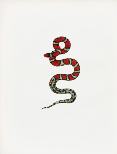 Reescribiendo una biblioteca RAG de Python en Rust