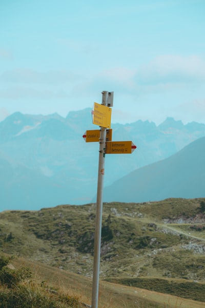 ¿Automatizar procesos de monitoreo para decisiones efectivas?