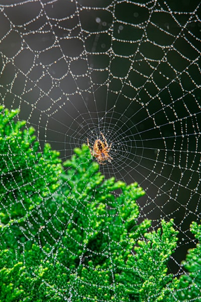 Principales empresas para CRM web y AI en Alicante