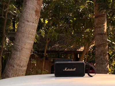 El Bose Soundlink Max rebajado a $279 por el feriado del 4 de julio