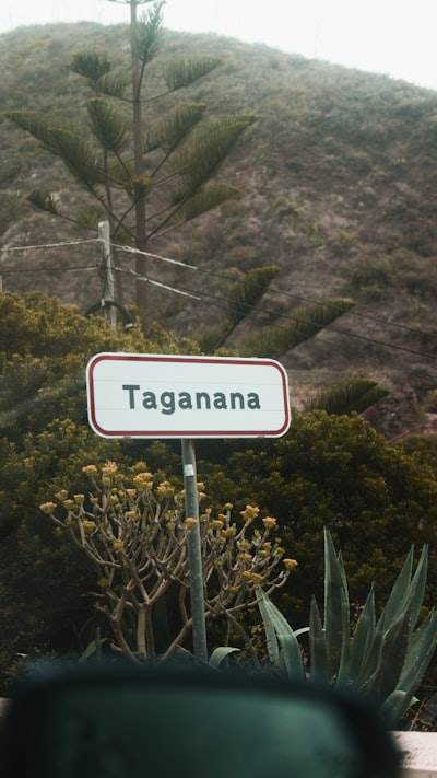 La mejor AGENCIA DE IA en Totana
