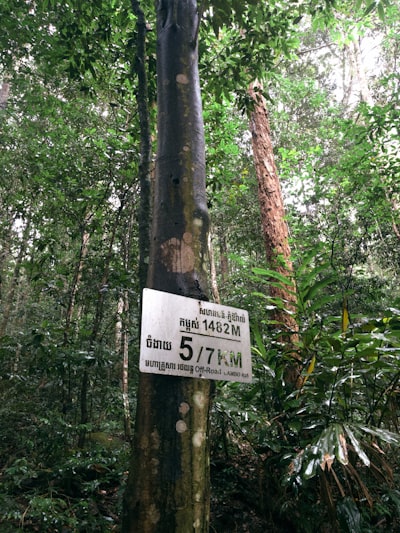 Modelo de cuantificación de incertidumbre multivariante con bosques de cuantiles tomográficos