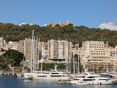 Las 50 mejores empresas para contratar autónomos en Palma