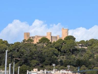 Top 10 Expertos en n8n en Castelldefels