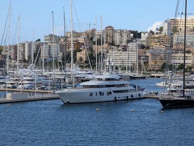 Top 5 Expertos Agentes a Bordo en Palma
