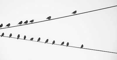 Sesgos de LLM en la simulación de susceptibilidad a la desinformación