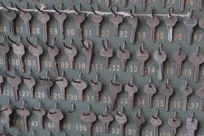 Por qué la especialización es clave en Drupal