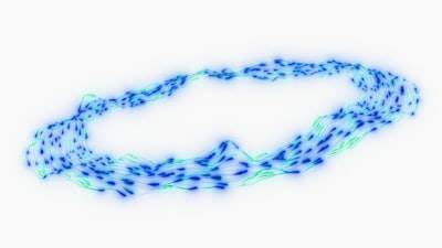 Optimización de andamios microvasculares insipirados en la naturaleza