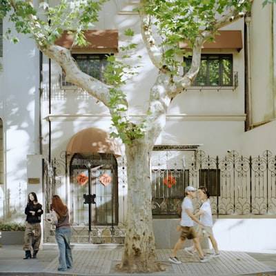 Agencia de IA en Sant Feliu de Llobregat