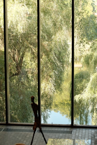 Willow on Windows