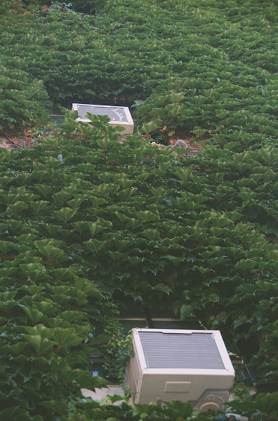 Precondicionamiento de Gradiente para Generación Eficiente y Confiable Guiada por Recompensa