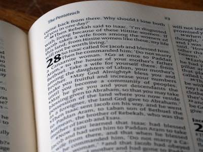 German Common Resources - 154 Billion Text Tokens for Language Models