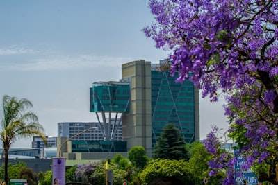 Principales 3 empresas de servicios de inteligencia empresarial en Villava