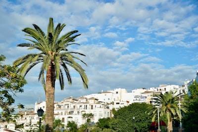 Top 3 Companies for Mobile Apps in Marbella