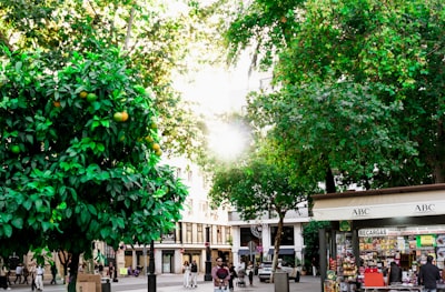 Guía completa de líderes en software a medida para retail