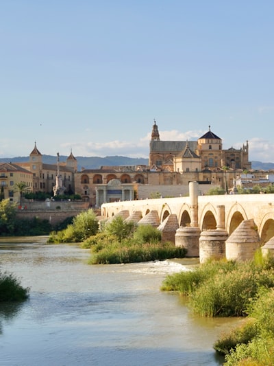 Intranet con IA y grafo de conocimiento en Córdoba