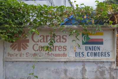 Cambios internos previos a un portal de socios con reparto de ingresos