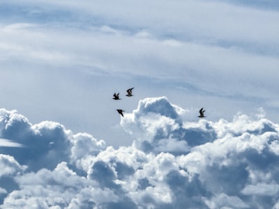 ¿Quién se beneficia más de la migración a la nube?