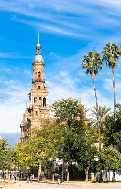 Servicios de gestión automatizada de citas en Sevilla