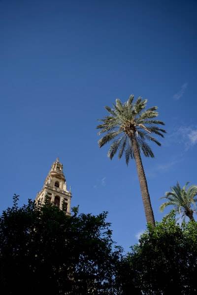 Principales empresas de software web en Córdoba