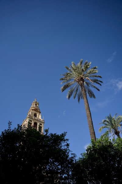 Mejores empresas consultoras en Azure en Córdoba