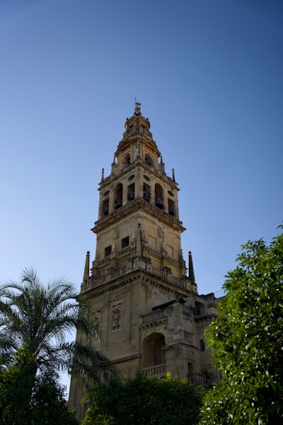 Servicios de automatización empresarial en Córdoba