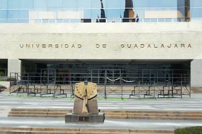 Socio experto en desarrollo tecnológico en Guadalajara