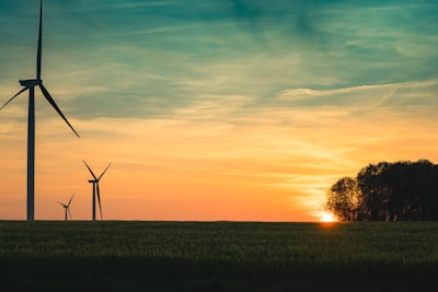 Conectando investigación, operaciones y ecosistemas