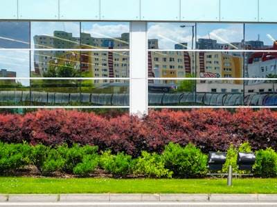 Top 5 Business Software Services Companies in Ribeira