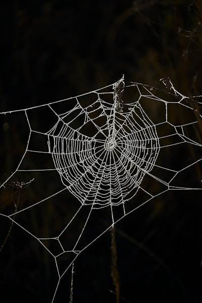 Señales para implementar soluciones de software web