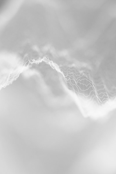 Genealogía de modelos base en teledetección