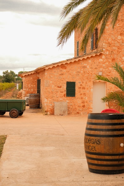Desarrollo de GPT personalizados en Palma